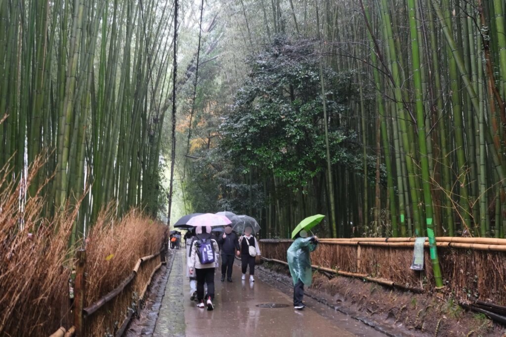 Arashiyama Bamboo Grove Path